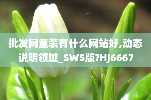 批发网童装有什么网站好,动态说明领域_SWS版?HJ6667