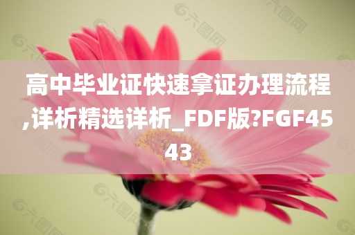 高中毕业证快速拿证办理流程,详析精选详析_FDF版?FGF4543