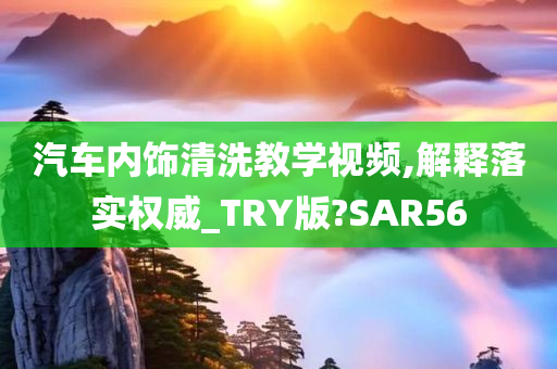 汽车内饰清洗教学视频,解释落实权威_TRY版?SAR56