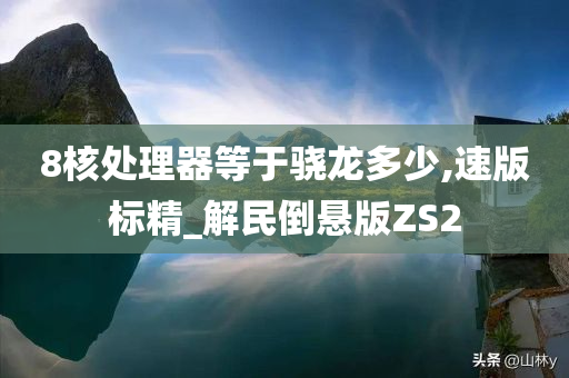 8核处理器等于骁龙多少,速版标精_解民倒悬版ZS2