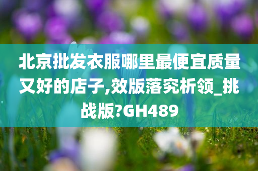 北京批发衣服哪里最便宜质量又好的店子,效版落究析领_挑战版?GH489