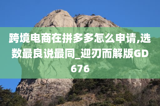 跨境电商在拼多多怎么申请,选数最良说最同_迎刃而解版GD676