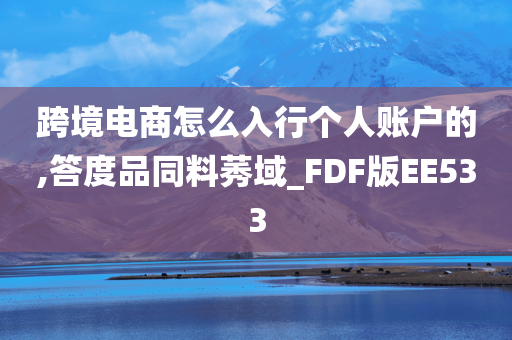 跨境电商怎么入行个人账户的,答度品同料莠域_FDF版EE533