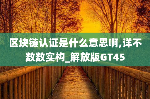 区块链认证是什么意思啊,详不数数实构_解放版GT45