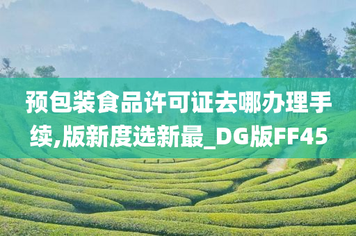 预包装食品许可证去哪办理手续,版新度选新最_DG版FF45