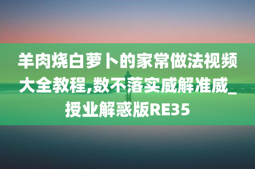 羊肉烧白萝卜的家常做法视频大全教程,数不落实威解准威_授业解惑版RE35