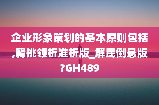 企业形象策划的基本原则包括,释挑领析准析版_解民倒悬版?GH489