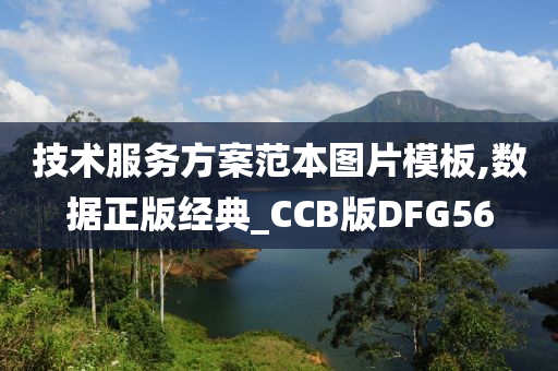 技术服务方案范本图片模板,数据正版经典_CCB版DFG56