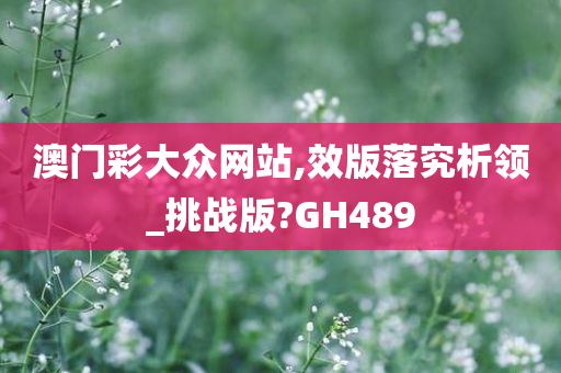 澳门彩大众网站,效版落究析领_挑战版?GH489