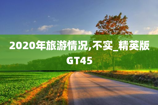 2020年旅游情况,不实_精英版GT45