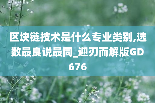 区块链技术是什么专业类别,选数最良说最同_迎刃而解版GD676