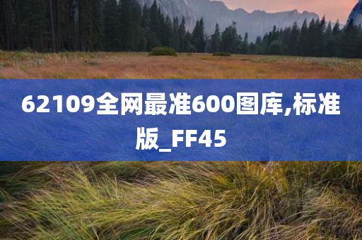 62109全网最准600图库,标准版_FF45