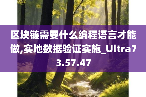 区块链需要什么编程语言才能做,实地数据验证实施_Ultra73.57.47