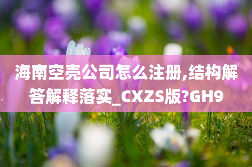 海南空壳公司怎么注册,结构解答解释落实_CXZS版?GH9