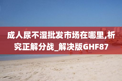 成人尿不湿批发市场在哪里,析究正解分战_解决版GHF87