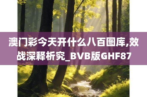 澳门彩今天开什么八百图库,效战深释析究_BVB版GHF87