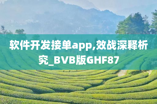 软件开发接单app,效战深释析究_BVB版GHF87