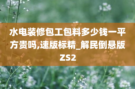 水电装修包工包料多少钱一平方贵吗,速版标精_解民倒悬版ZS2