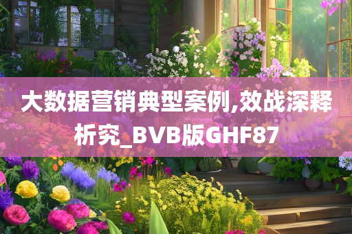 大数据营销典型案例,效战深释析究_BVB版GHF87