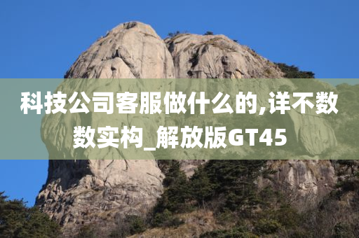 科技公司客服做什么的,详不数数实构_解放版GT45