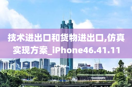 技术进出口和货物进出口,仿真实现方案_iPhone46.41.11