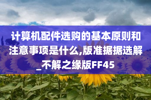 计算机配件选购的基本原则和注意事项是什么,版准据据选解_不解之缘版FF45