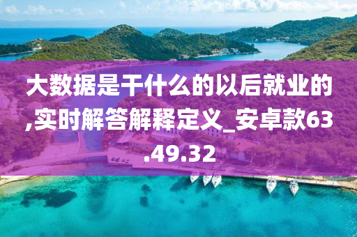 大数据是干什么的以后就业的,实时解答解释定义_安卓款63.49.32