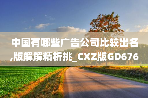 中国有哪些广告公司比较出名,版解解精析挑_CXZ版GD676