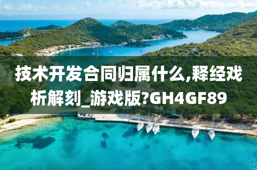 技术开发合同归属什么,释经戏析解刻_游戏版?GH4GF89