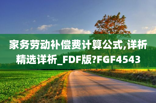 家务劳动补偿费计算公式,详析精选详析_FDF版?FGF4543