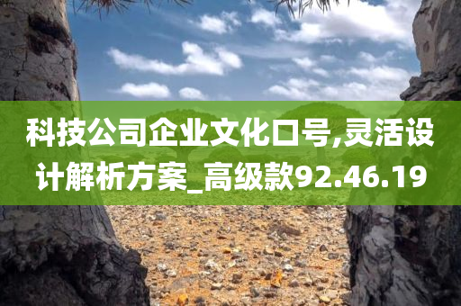 科技公司企业文化口号,灵活设计解析方案_高级款92.46.19