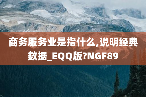 商务服务业是指什么,说明经典数据_EQQ版?NGF89