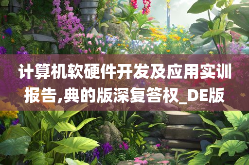 计算机软硬件开发及应用实训报告,典的版深复答权_DE版