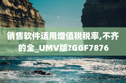 销售软件适用增值税税率,不齐的全_UMV版?GGF7876