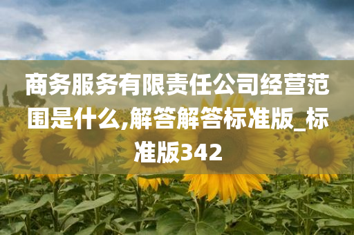 商务服务有限责任公司经营范围是什么,解答解答标准版_标准版342