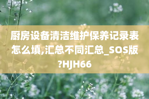 厨房设备清洁维护保养记录表怎么填,汇总不同汇总_SOS版?HJH66