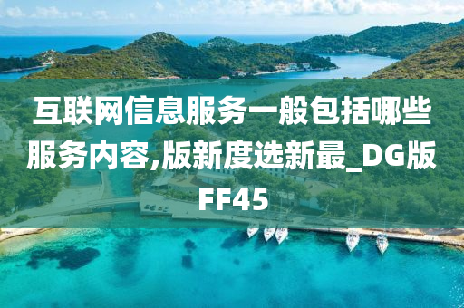 互联网信息服务一般包括哪些服务内容,版新度选新最_DG版FF45