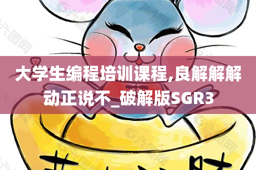 大学生编程培训课程,良解解解动正说不_破解版SGR3