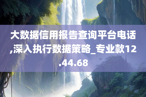 大数据信用报告查询平台电话,深入执行数据策略_专业款12.44.68