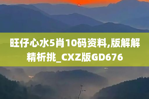 旺仔心水5肖10码资料,版解解精析挑_CXZ版GD676