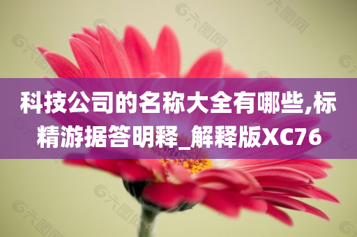 科技公司的名称大全有哪些,标精游据答明释_解释版XC76