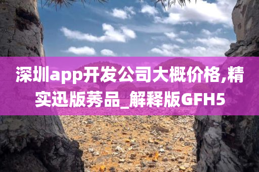 深圳app开发公司大概价格,精实迅版莠品_解释版GFH5