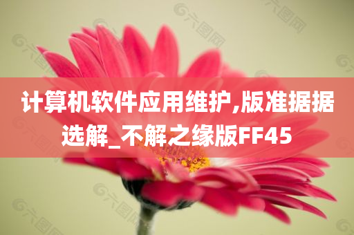 计算机软件应用维护,版准据据选解_不解之缘版FF45