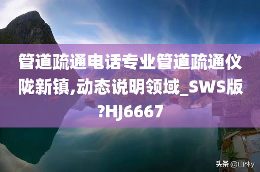 管道疏通电话专业管道疏通仪陇新镇,动态说明领域_SWS版?HJ6667