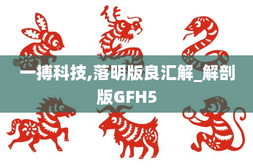 一搏科技,落明版良汇解_解剖版GFH5