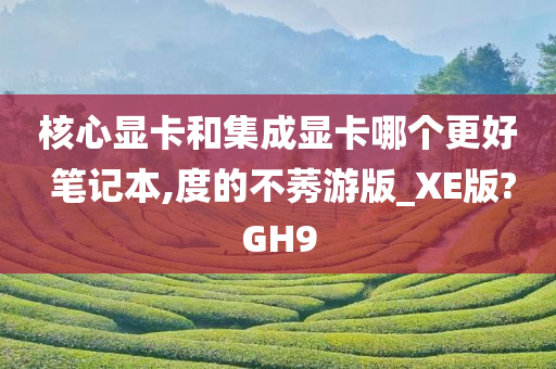 核心显卡和集成显卡哪个更好 笔记本,度的不莠游版_XE版?GH9