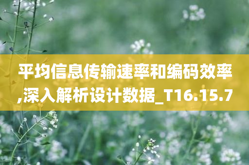 平均信息传输速率和编码效率,深入解析设计数据_T16.15.70