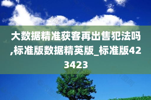 大数据精准获客再出售犯法吗,标准版数据精英版_标准版423423