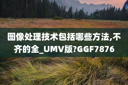 图像处理技术包括哪些方法,不齐的全_UMV版?GGF7876