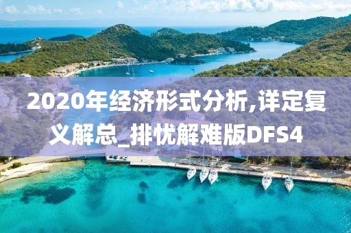 2020年经济形式分析,详定复义解总_排忧解难版DFS4